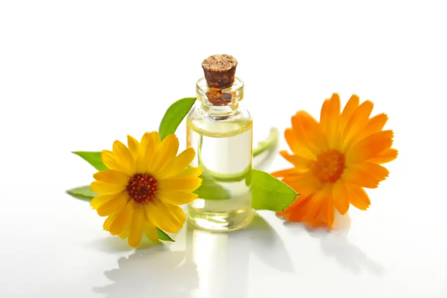 Flacon d'huile essentielle et fleurs de calendula
